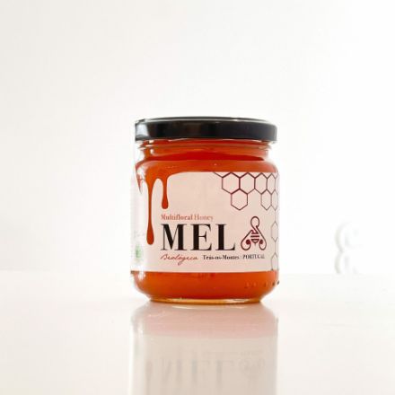 Picture of Multifloral Honey Gourmet 250g