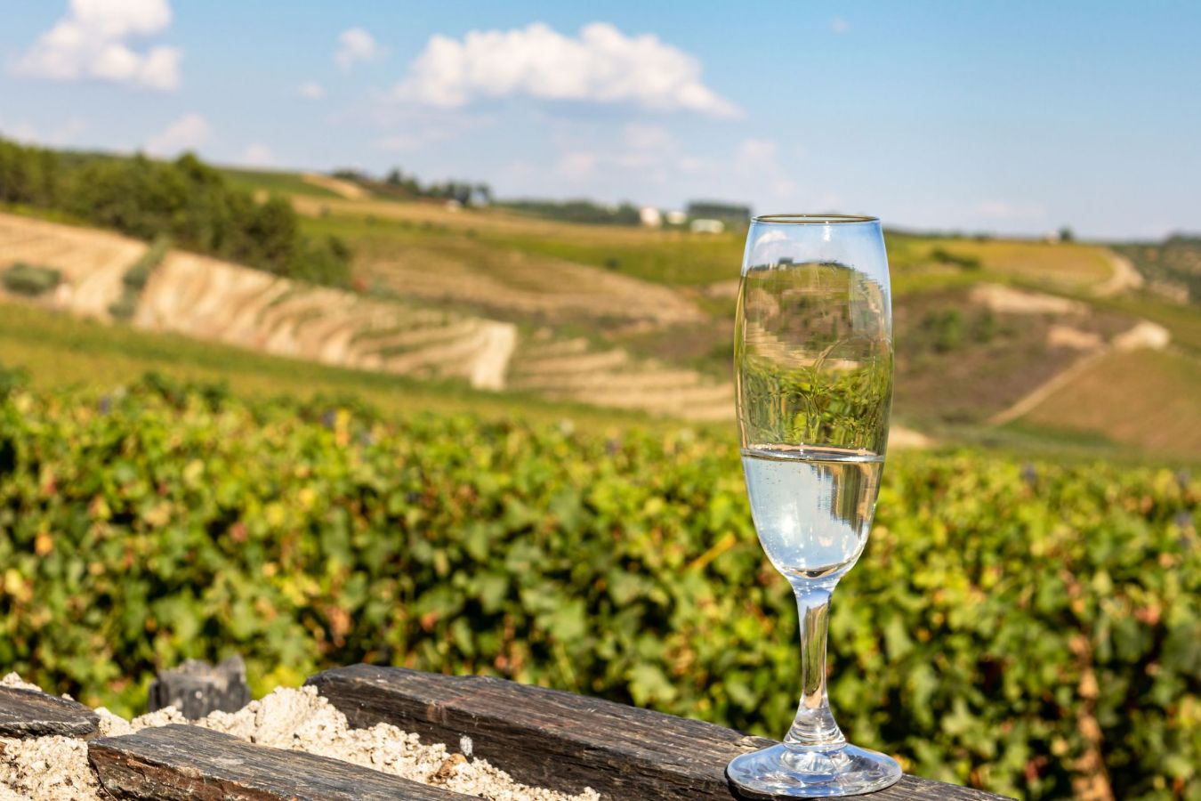 Portuguese Espumante: A Sparkling Alternative to Champagne and Prosecco