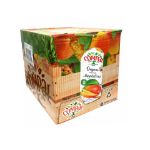 Picture of Compal Clássico Mango 12x1lt